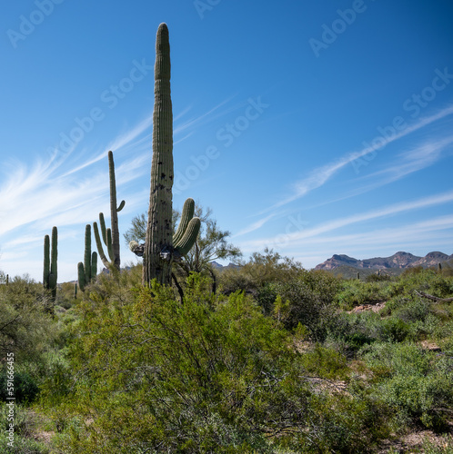 Arizona Superstition Mountains Desert Landscape