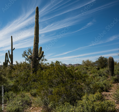 Arizona Superstition Mountains Desert Landscape © DirkDMyers