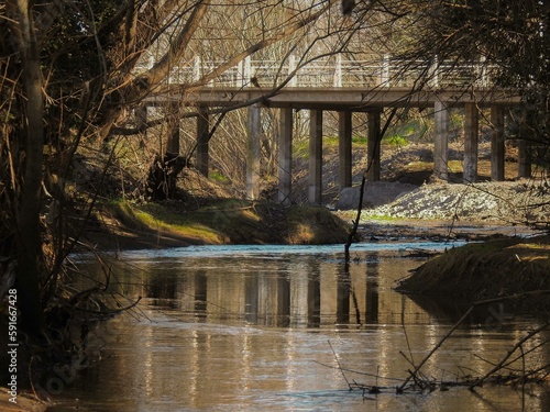 the river in the forest