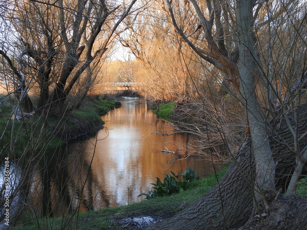 morning on the river