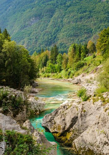 Beautiful turquoise Soca river in a forest with mountains in Slovenia. Perfect summer day.