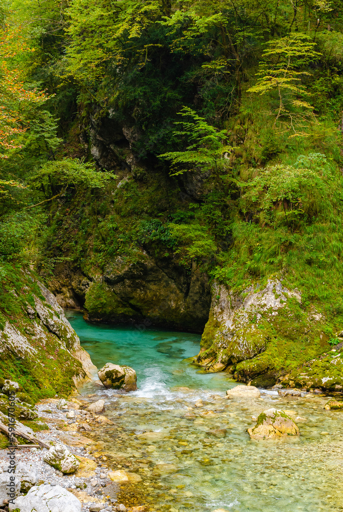 Beautiful turquoise Soca river valley in a forest with mountains in Slovenia. Perfect summer day. Beautiful turquoise Soca river valley in a forest with mountains in Slovenia. Perfect summer day.