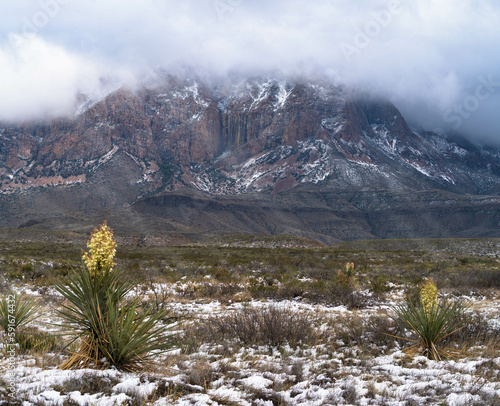 Snow in the Chisos Mountains photo