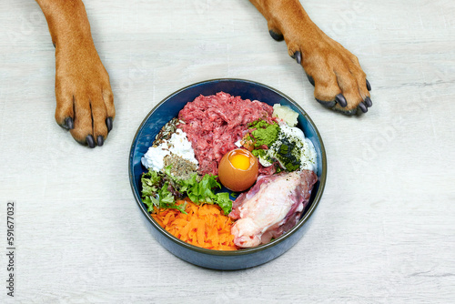 Canvas Print Natural Raw organic dog food in bowl and dogs paws on grey background