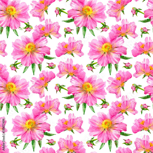 Watercolor illustration of seamless pattern with peony flowers isolated on white background.