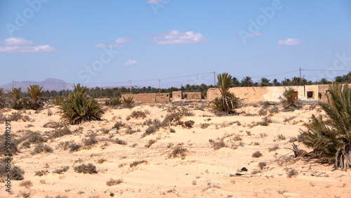 Houses by a palm grove along the highway near Kebili, Tunisia