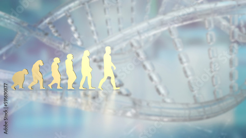 The human evolution image for education or sci concept 3d rendering