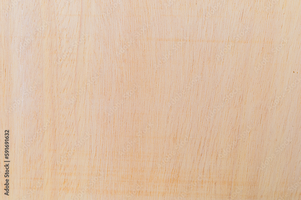 Light rough textured cut surface of an African tree. Wood background or blank for design Light rough textured cut surface of an African tree. Wood background or blank for design