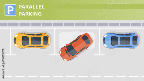 Parallel parking top view. Multicolored cars near work, home or shopping center. Marked parking spaces. Rules of road, educational infographic. Cartoon flat vector illustration