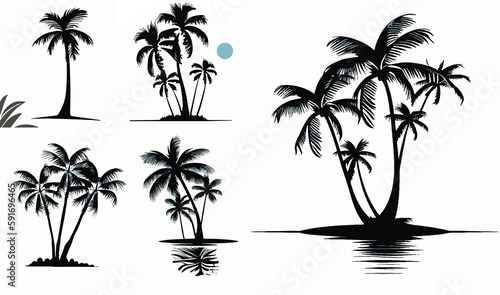 Coconut Palm Tree Set Vector