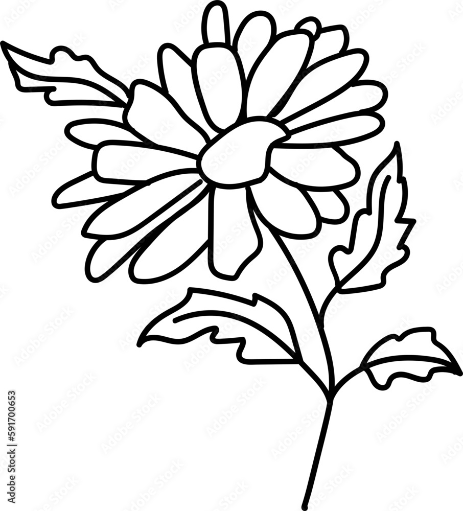 Line Flower Line Flower