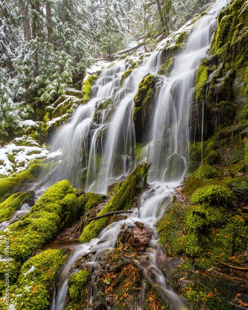 Fototapeta premium Forest waterfall in winter Oregon