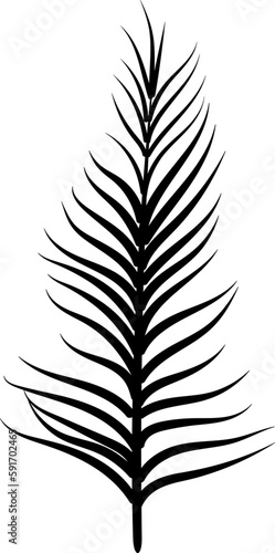 Palm Leaf