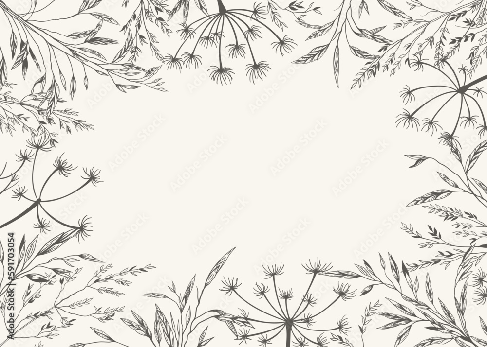Fototapeta premium Rectangular frame with meadow herbs. Cover template with dry grass. Black and white. Line art. Botanical background with copy space. Layout border for greeting, postcards, logos, covers, labels.