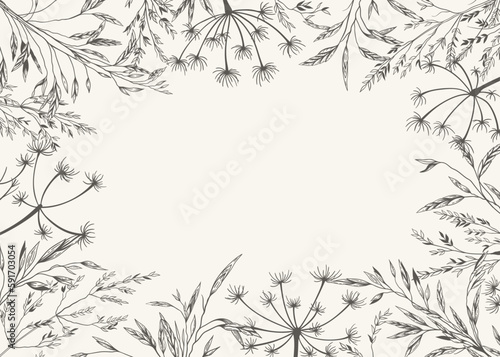 Rectangular frame with meadow herbs. Cover template with dry grass. Black and white. Line art. Botanical background with copy space. Layout border for greeting, postcards, logos, covers, labels.