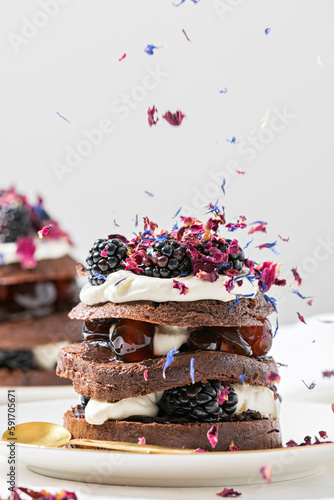 Black Forest Cake with layers of chocolate cake, cherries and whipped cream photo