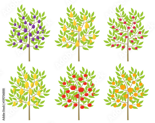 Set of fruit trees. Orchard set. Vector illustration.