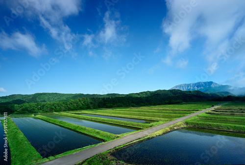 5月の御机みつめ