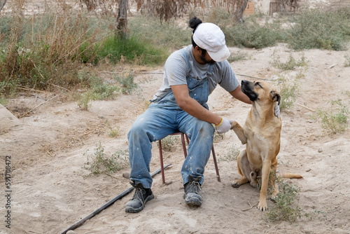 man and dog shaking hands © Nikopalma