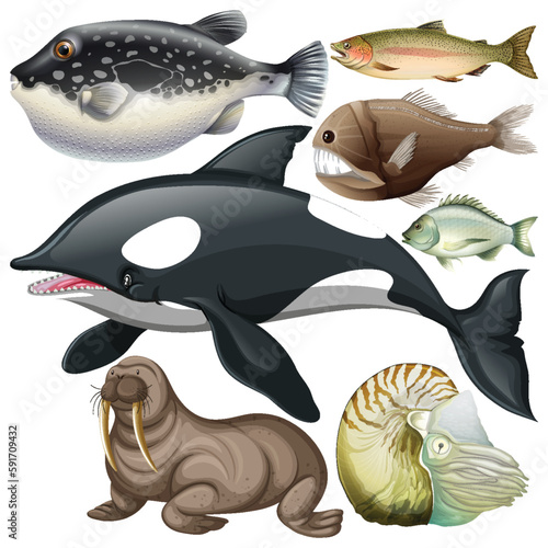 Underwater Creature Vector Set