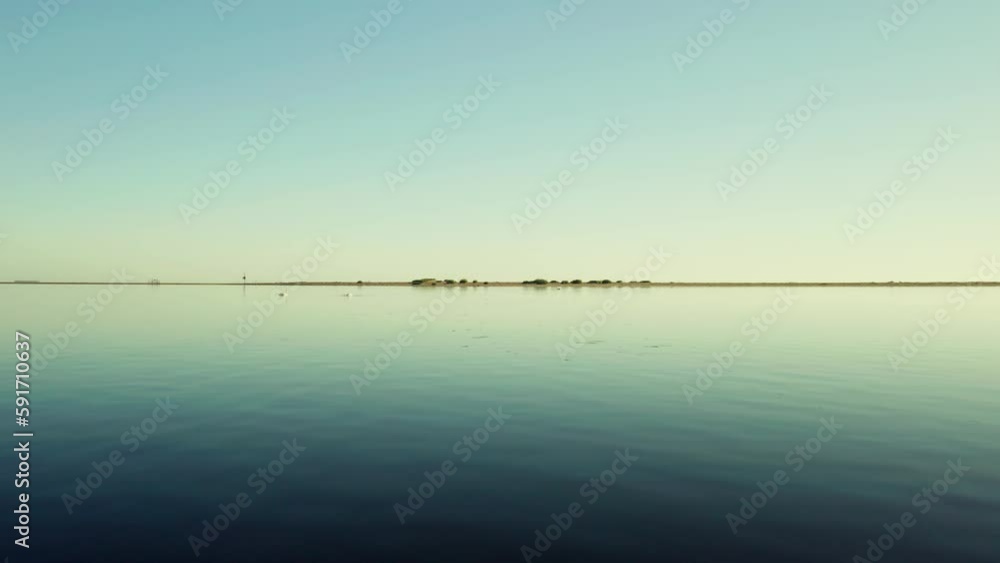 Fly Over Serene Seascape With Wildlife Scene Of Swans On The Baltic Seacoast In Poland. Aerial Drone Shot Fly Over Serene Seascape With Wildlife Scene Of Swans On The Baltic Seacoast In Poland. Aerial Drone Shot