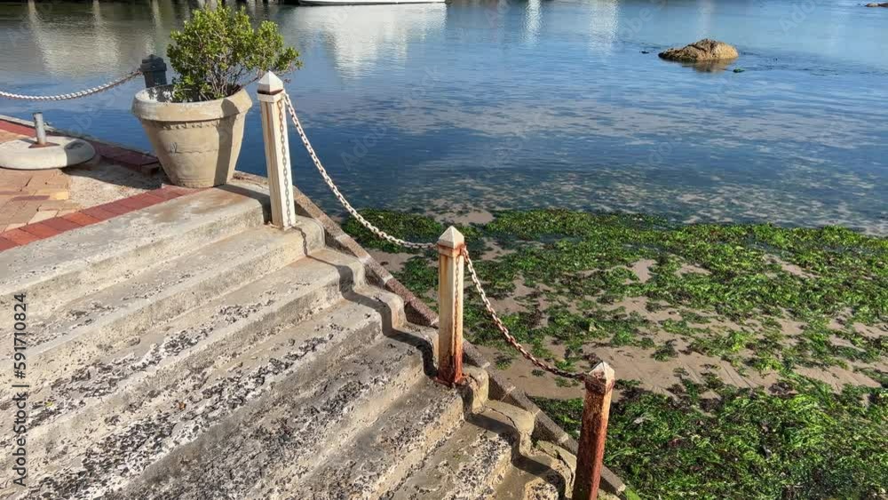 Steps going down to a sea lettuce beach during low tide Steps going down to a sea lettuce beach during low tide