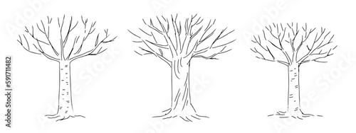 Hand-drawn tree illustrations