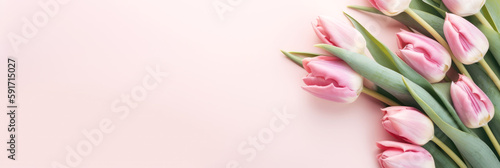 Tulip on pink background ,Generative ai
