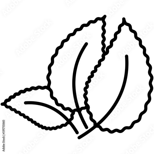 mint icon, line icon style, mint leaves symbol vector stock.