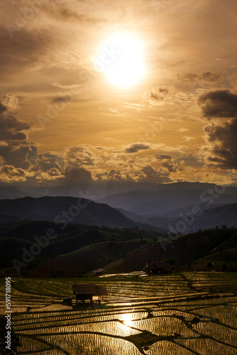 beautiful landscape Terraced green rice paddy field at sunset, Pa Pong Pieng, Chiang mai, Thailand