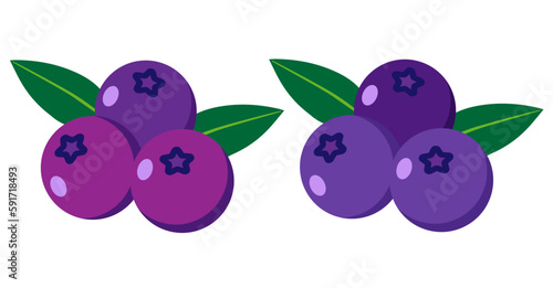 Purple health food fruit blueberry clip art,
보라색 건강식품과일인 블루베리 클립아트
