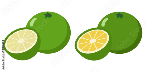 Tangerine, lime, sour and sweet taste Clip Art,
새콤,달콤한 맛의 청귤,라임 클립아트