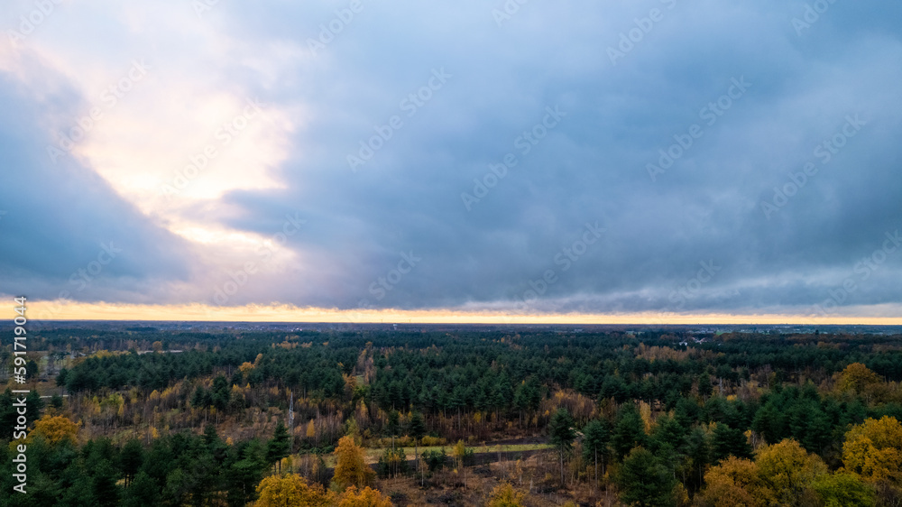 Beautiful colored forest during fall. Aerial drone picture of Belgian forest in Antwerp in autumn shot by a drone. High quality photo