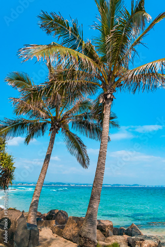 Bright sunny day at the beach. Stunning view of a turquoise sea and palm trees in the foreground. Tropical beach background.