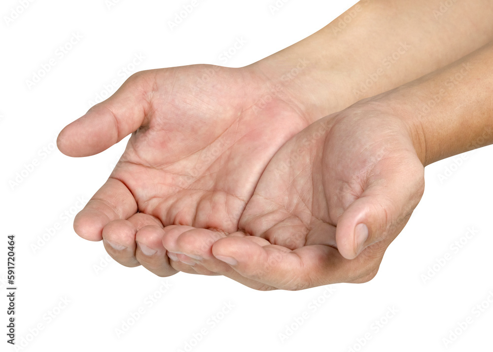 Two open the palm of the hand isolated Two open the palm of the hand isolated