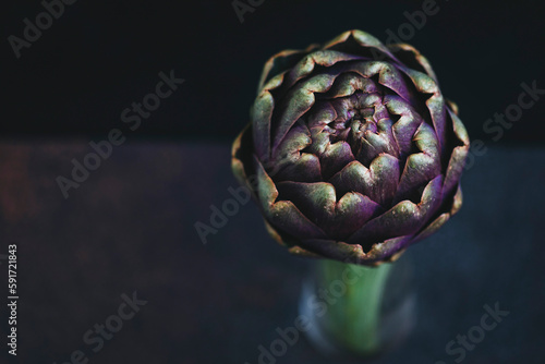 Single artichoke close up on a dark background photo