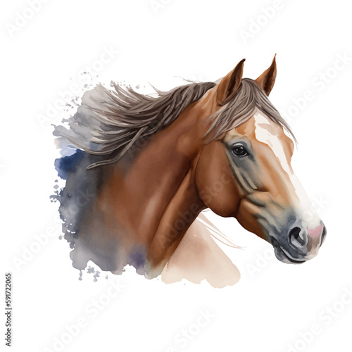 horse with style hand drawn digital painting illustration