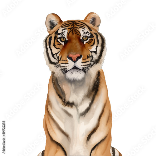 tiger head with style hand drawn digital painting illustration