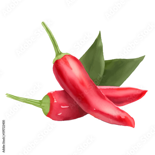 red chili with style hand drawn digital painting illustration