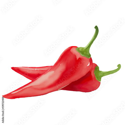 red chili with style hand drawn digital painting illustration