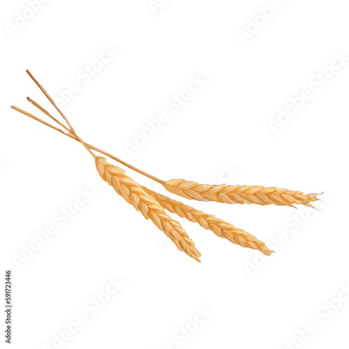 wheat with style hand drawn digital painting illustration