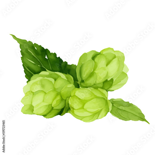 green hop with style hand drawn digital painting illustration