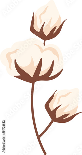 Cotton Flowers Stem