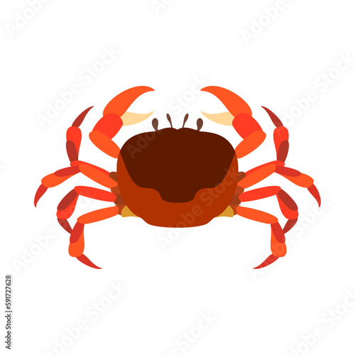 サワガニ。フラットなベクターイラスト。
Japanese freshwater crab. Flat designed vector illustration.