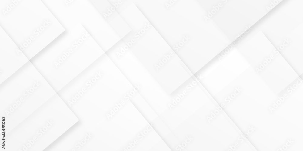 abstract white and gray background with lines white light & grey background. Space design concept. Decorative web layout or poster, banner. White grey background vector design. See