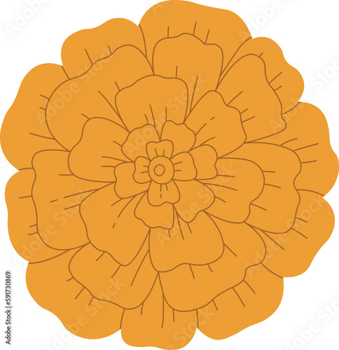 Flower Head Illustration