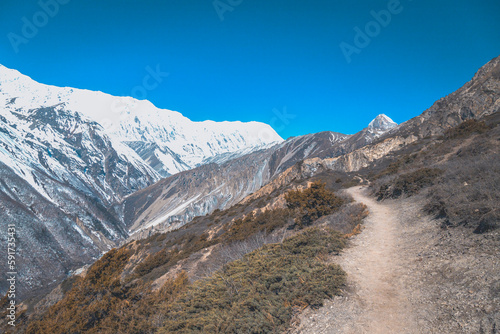 landscape with snow