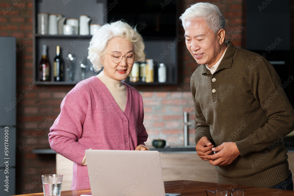 Elderly couple using laptop at home Elderly couple using laptop at home
