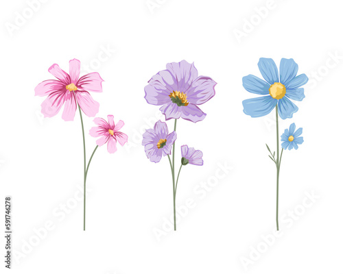 flowers isolated on white