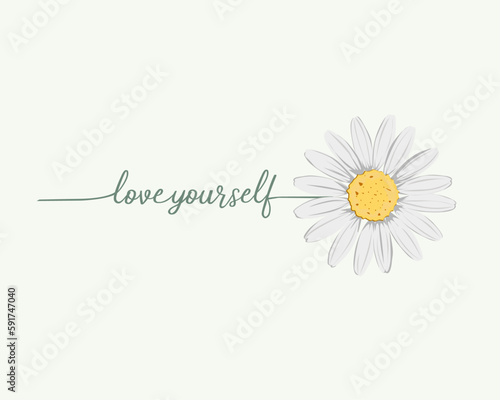 camomile on a white background